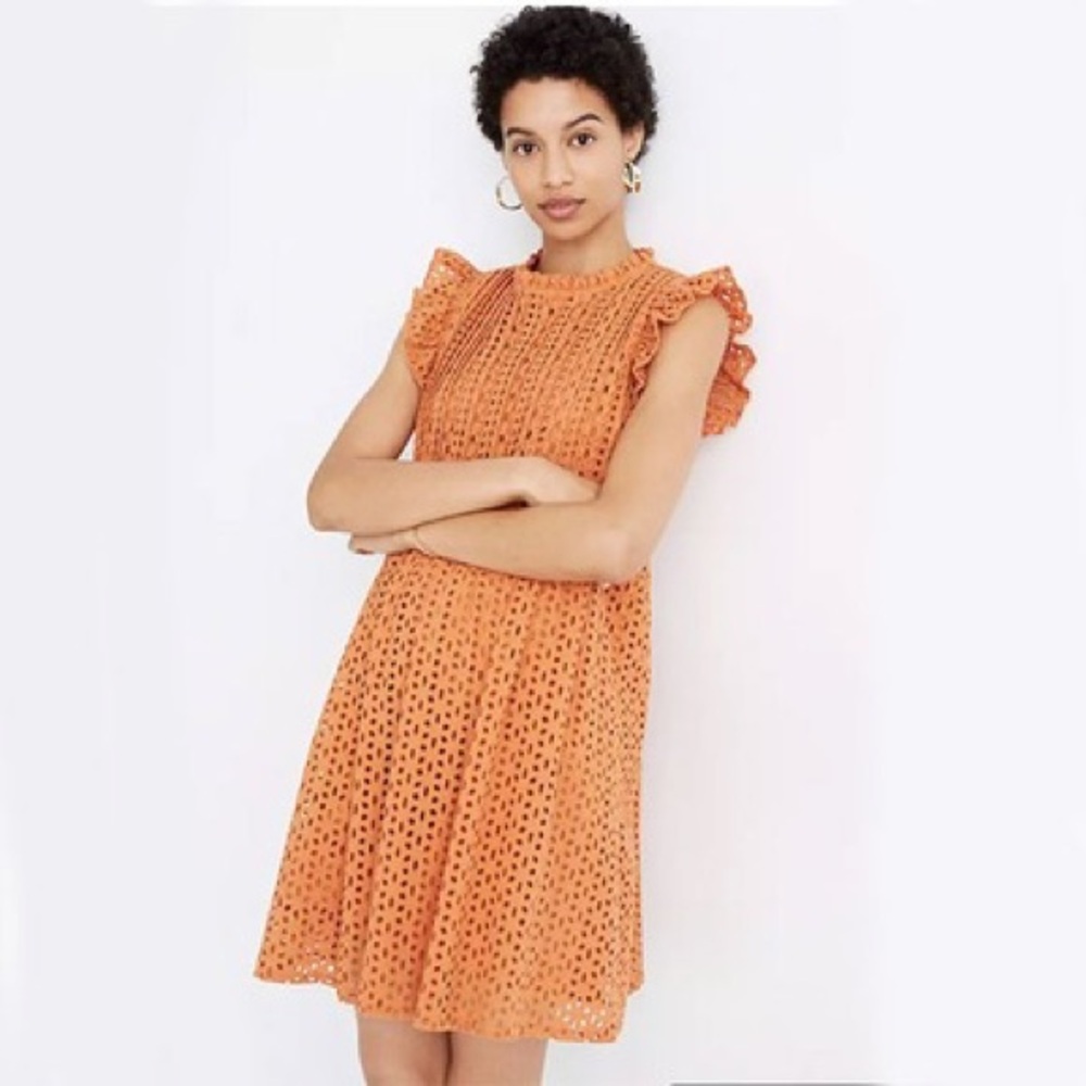 Madewell Eyelet Ruffle-Sleeve Pintuck Mini Dress